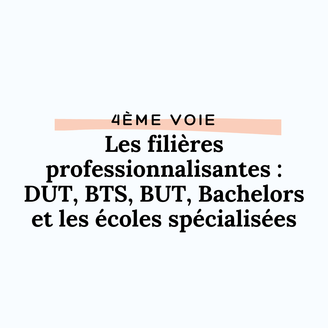 Quelles études Choisir Après Le Bac En Fonction De Son Profil ...